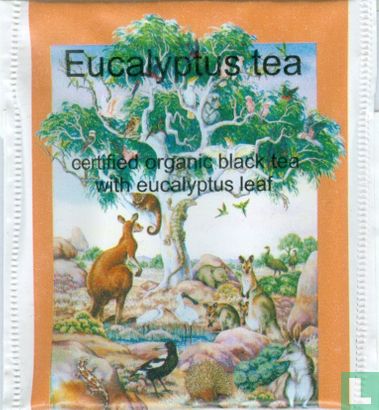 Eucalyptus Tea - Image 1