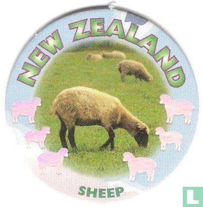 New Zealand-Sheep - Image 1