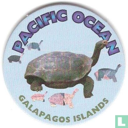Pacific Ocean-Galapagos Islands - Image 1