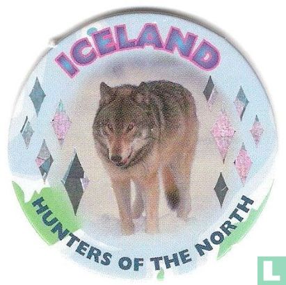 Iceland-Hunters of the North - Image 1