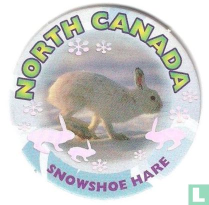 North Canada - Snowshoe Hare - Afbeelding 1