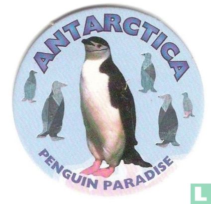 Antarctica-Penguin Paradise - Image 1