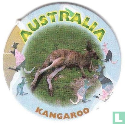 Australien-Kangaroo - Bild 1