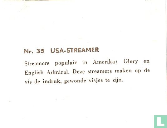USA-Streamer - Afbeelding 2