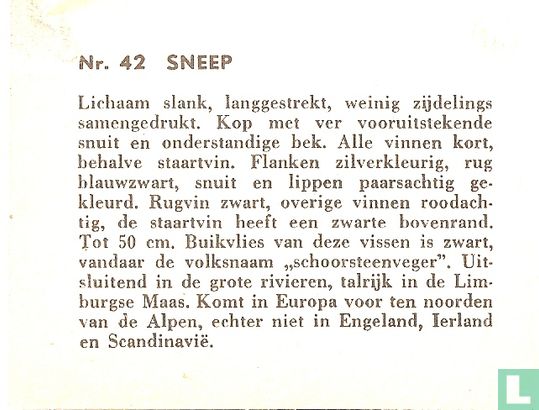 Sneep - Image 2