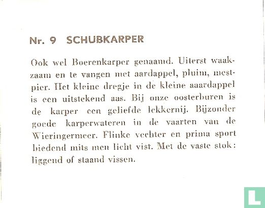 Schubkarper - Afbeelding 2