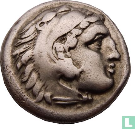 Königreich Makedonien-AR Drachme Alexander das große Lamm Acus 323 – 317 v. Chr. - Bild 1