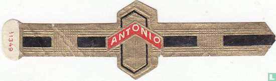 Antonio  - Image 1