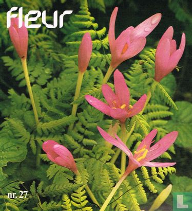 Fleur 27 - Image 1