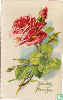 roos - Afbeelding 1