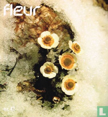 Fleur 42 - Image 1