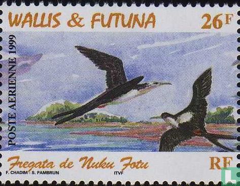 Birds of Nuku Fotu