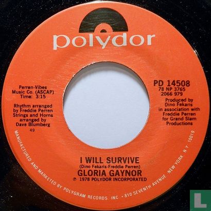 I Will Survive - Bild 1