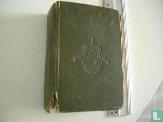Thieme's Hollandsch-Engelsch zakwoordenboekje - Image 1