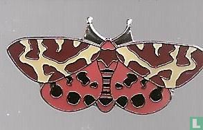 Arctia caja - Garden tiger moth