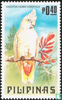 Parrots