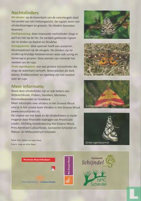 Op zoek naar vlinders in het Groene Woud - Kampina - Image 2