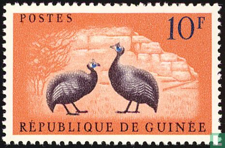 Guineafowls