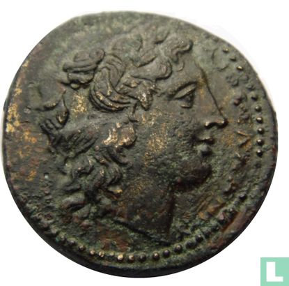 Syracuse, Sicile  AE24  (Hicetas, Grèce antique)  288-279 av. J.-C. - Image 1