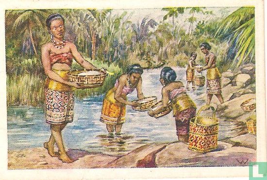 Dajaksche vrouwen rijst wasschende. Borneo. - Afbeelding 1