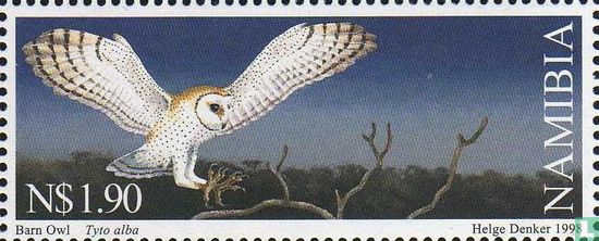 Owls of Namibia