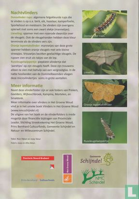Op zoek naar vlinders in het Groene Woud - Dommelbeemden/Moerkuilen - Afbeelding 2
