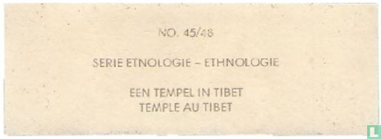 Een tempel in Tibet - Afbeelding 2
