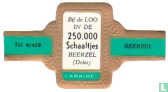 Bij de Loo in de 250.000 Schaaltjes Beerzel (Dries) - Tel. 41422 - Beerzel  - Image 1