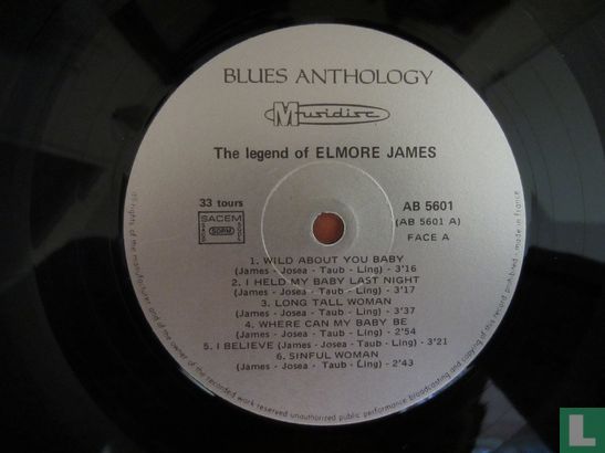 Anthology of The Blues / The Legend of Elmore James - Afbeelding 3