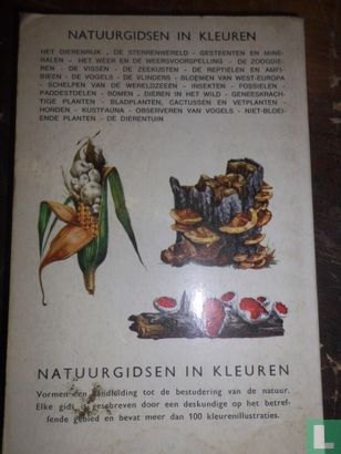 Natuurgids voor de niet-bloeiende planten - Afbeelding 2