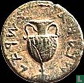 Judée  AE30  "Shimon" Bar Kochba révolte (amphore, année 2)  134-135 CE - Image 2