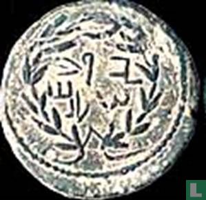 Judea, AE coin, Bar Kochba opstand 134-135 AD - Afbeelding 1