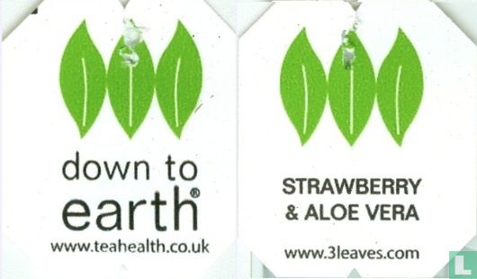 Strawberry & Aloe Vera - Image 3