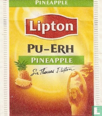 Pu-Erh Pineapple - Bild 1