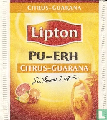 Pu-Erh Citrus-Guarana - Bild 1