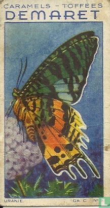 De Urinia-vlinder - Afbeelding 1
