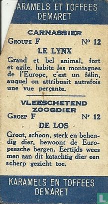 De Los (Lynx) - Bild 2