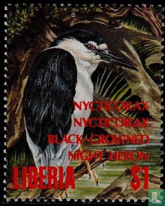 Oiseaux du Libéria