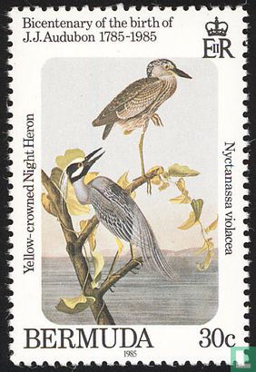 Audubon Vogels 