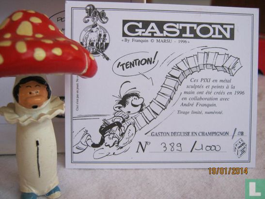 Guust dressed as a mushroom - Image 3