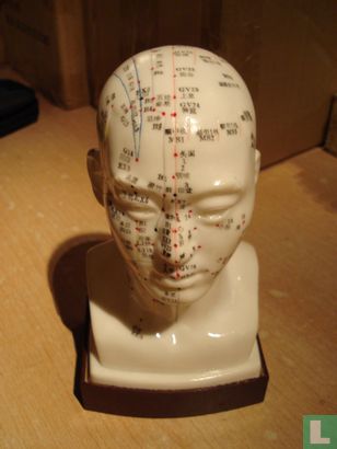 Acupunctuur hoofd - Image 1