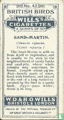 Sand-Martin - Image 2