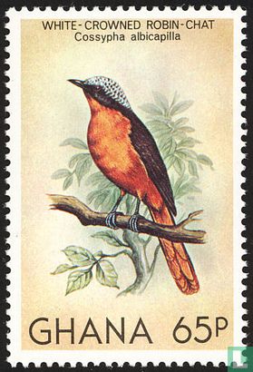 Native birds