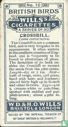 Crossbill - Image 2