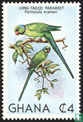 Native birds 