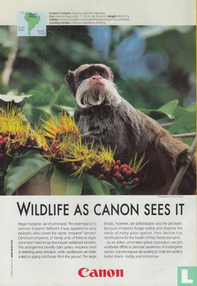 National Geographic [USA] 3 - Bild 2