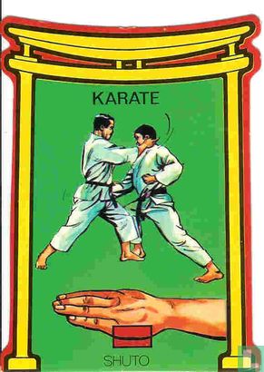 Karate shuto - Afbeelding 1