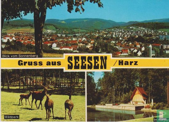 Grüss aus Seesen / Harz - Afbeelding 1