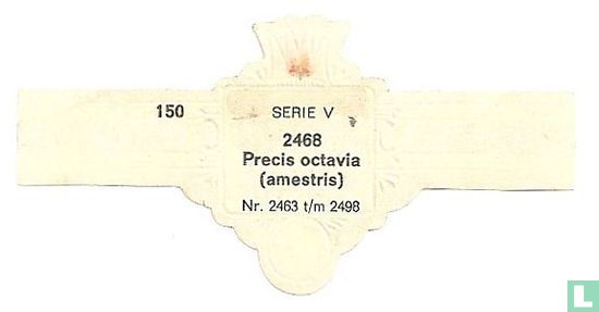 Instituto octavia - Afbeelding 2