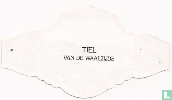 A part of the municipality of Tiel side - Image 2